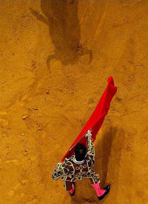 Самые нашумевшие кадры 2008 года