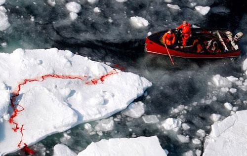 Самые нашумевшие кадры 2008 года