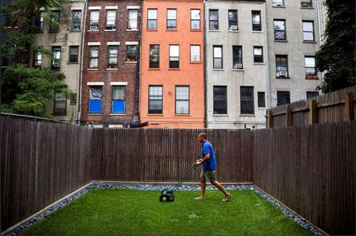 Самые нашумевшие кадры 2008 года