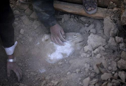 Самые нашумевшие кадры 2008 года