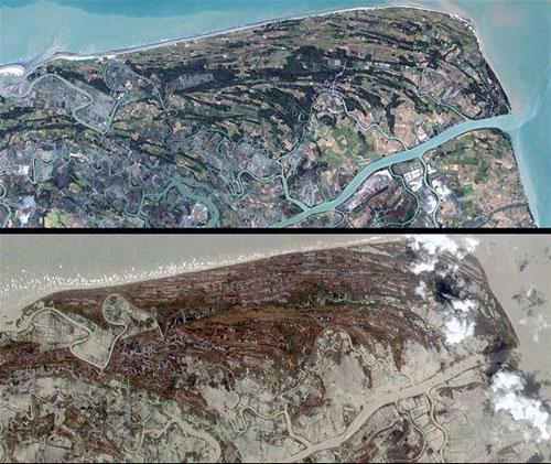 Самые нашумевшие кадры 2008 года