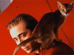 Человек и кошка: питомцы знаменитостей