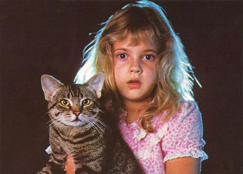 Человек и кошка: питомцы знаменитостей