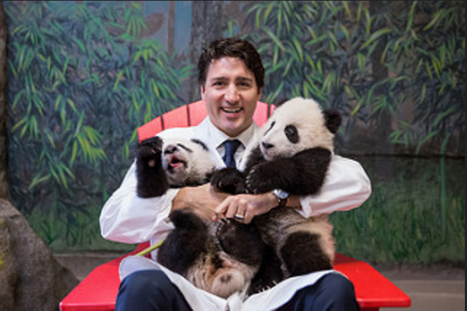 Самый красивый политик Канады очаровывает всех