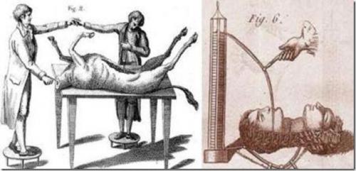 Самые безумные ученые и их ужасные эксперименты