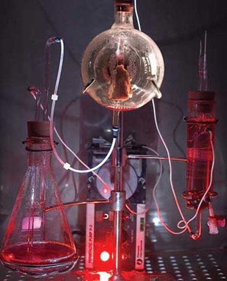 9 современных ученых, ставящих необычные эксперименты