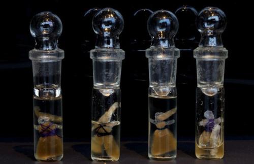 9 современных ученых, ставящих необычные эксперименты