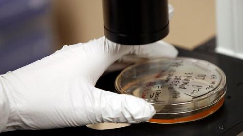 9 современных ученых, ставящих необычные эксперименты