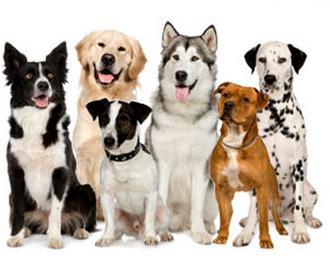 9 современных ученых, ставящих необычные эксперименты