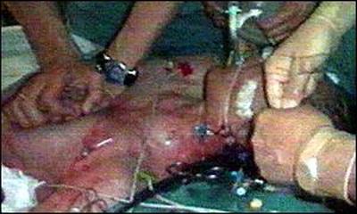 9 современных ученых, ставящих необычные эксперименты