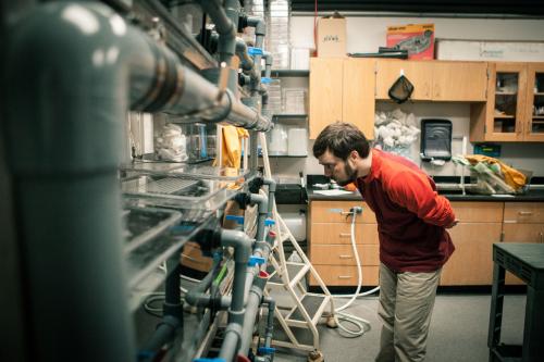 9 современных ученых, ставящих необычные эксперименты