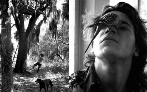 Черно-белые знаменитости Майкла Тая