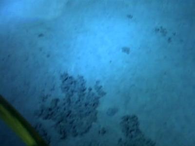 Погружение в Марианскую впадину Джеймса Кэмерона: как это было