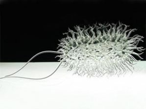 Остекленевшие вирусы застыли в Лондоне