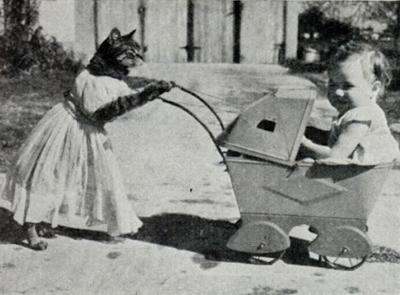 Котоколяска мощностью 1 кошачья сила с дрессированной кошкой в комплекте (1938)