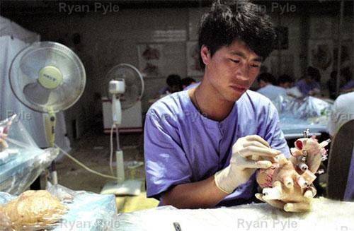 Экспонаты для выставок мумий Гюнтера фон Хаггенса делают в Китае