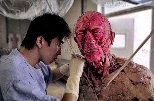 Экспонаты для выставок мумий Гюнтера фон Хаггенса делают в Китае