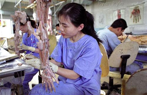 Экспонаты для выставок мумий Гюнтера фон Хаггенса делают в Китае