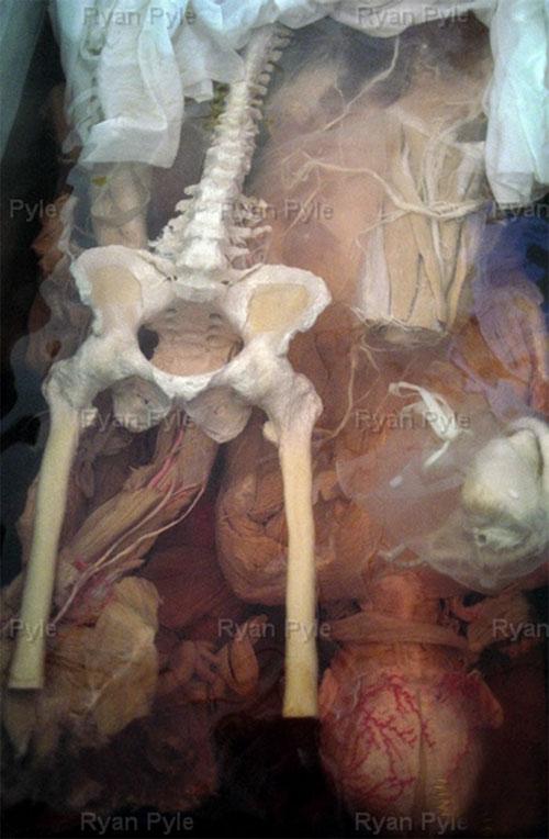 Экспонаты для выставок мумий Гюнтера фон Хаггенса делают в Китае