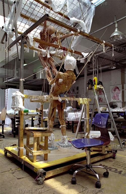 Экспонаты для выставок мумий Гюнтера фон Хаггенса делают в Китае