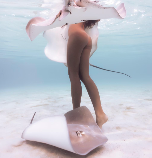 «Королева скатов» любит плавать обнаженной с морскими хищниками