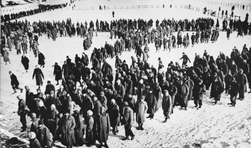 Немецкие пленные в районе Сталинграда.