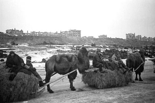 Доставка воинских грузов в район Сталинграда. 1942 г.