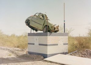 Претенденты на победу в конкурсе Sony World Photography Awards 2019