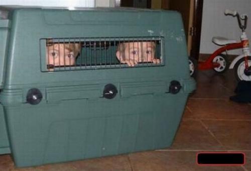 Самые плохие родители уходящего года