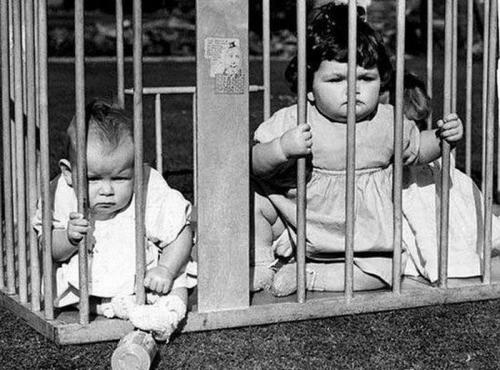 Самые плохие родители уходящего года