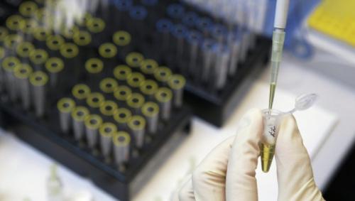 Сочи-2014: все скандалы, ляпы и тайны нашей Олимпиады