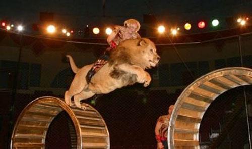 Самые новые рекорды книги рекордов Гиннеса