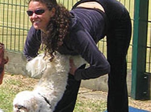 Новинка собаководства: собачья йога…