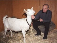 Что дарят Путину бизнесмены и политики