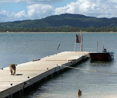 <I>/По материалам <a class="news_id_text_l" href="http://www.fishki.net/comment.php?id=91411">fishki.net</a>/</I>