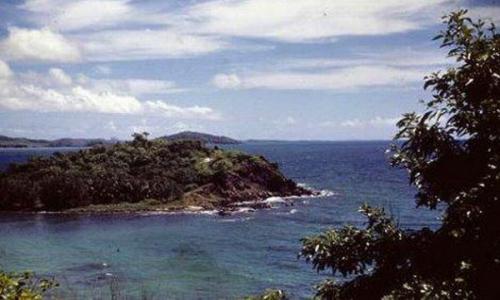 Сегодня численность этих животных на их собственном кусочке суши составляет 940 особей.