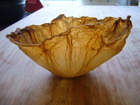 Британский дизайнер шьет одежду из бактерий