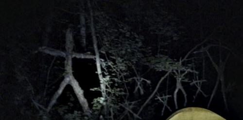 ТОП-50 самых страшных фильмов в истории кино