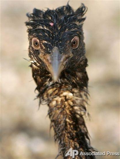 Жертвы шторма в Керченском проливе