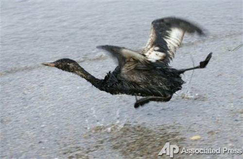 Жертвы шторма в Керченском проливе