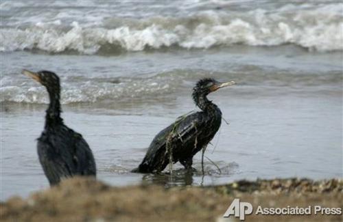 Жертвы шторма в Керченском проливе