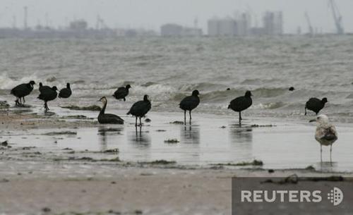 Жертвы шторма в Керченском проливе