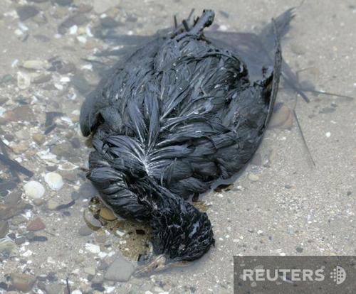 Жертвы шторма в Керченском проливе