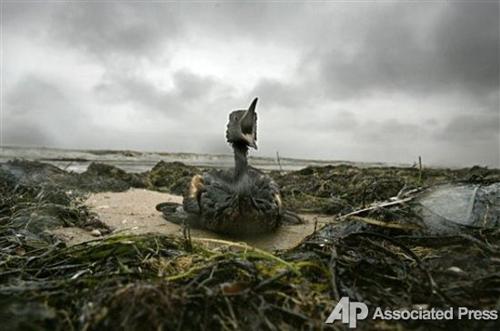 Жертвы шторма в Керченском проливе
