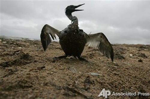 Жертвы шторма в Керченском проливе