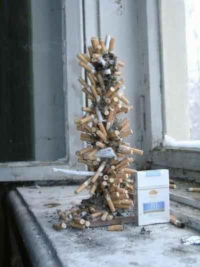 Топ фотоприколов Рунета — Задорнов отдыхает!