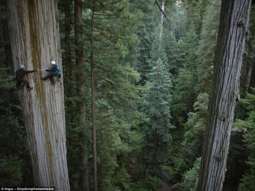 Безумный отдых от рисковых экстремалов