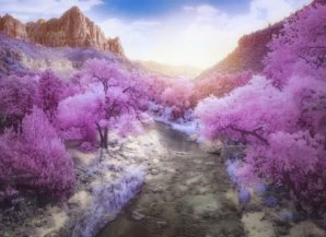 Лучшие работы с конкурса инфракрасной фотографии Life in Another Light