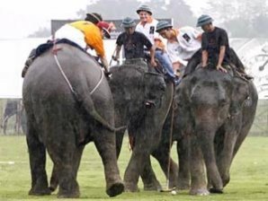 В Гималаях в разгаре чемпионат по слоновьему поло