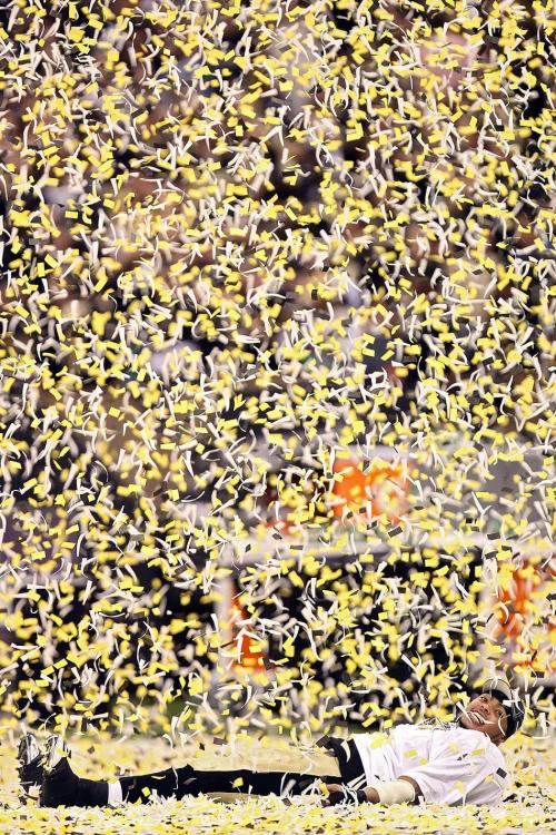 Лучшие спортивные фотографии 2010 года